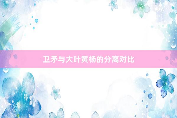 卫矛与大叶黄杨的分离对比