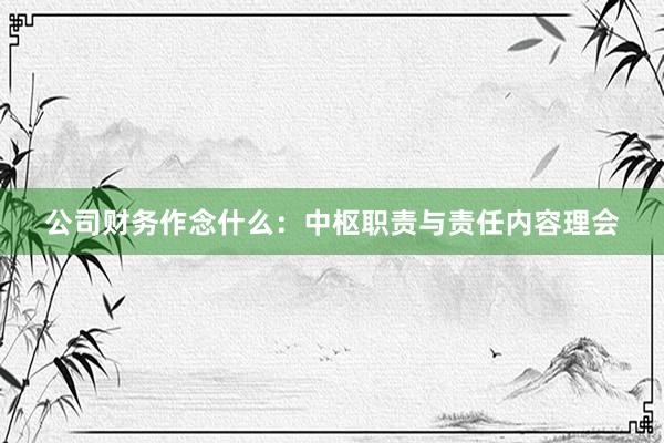公司财务作念什么：中枢职责与责任内容理会